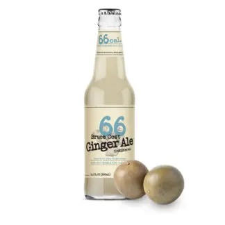 Bruce Cost Ginger Ale - 24 Pack - Monk Fruit 66 Calories 12oz (Glass)