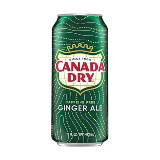 Canada Dry Ginger Ale - 24 Pack - 16oz (Cans)