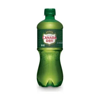 Canada Dry Ginger Ale - 24 Pack - 20oz (Plastic)